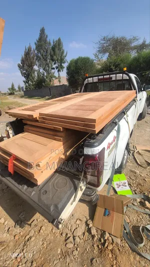 Mahogany Doors