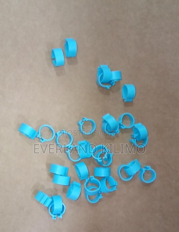 Blue Legs Band for Chicken - Small