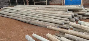8m Pressure Treated Wooden Poles
