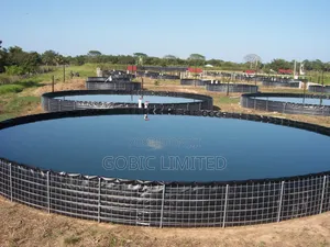 Raised Fishponds for Urban Farming
