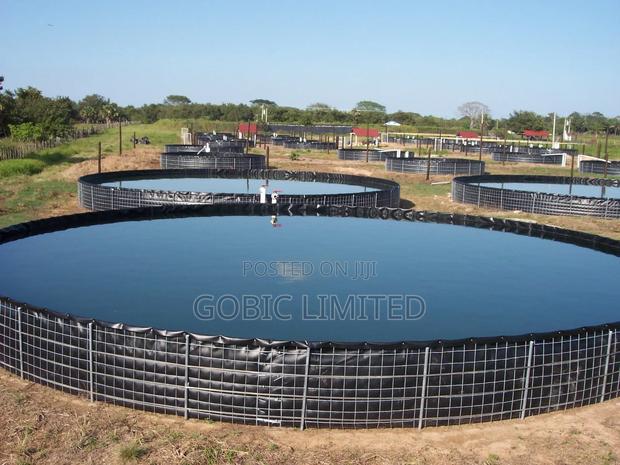 Raised Fishponds for Urban Farming