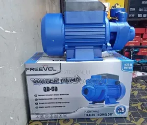 Approved Freevel 0.5HP Electric Booster Water Pump
