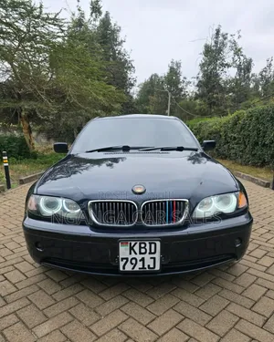 BMW 318i 2004 Blue