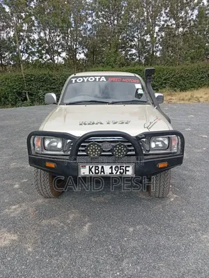 Toyota Hilux 2001 Gold