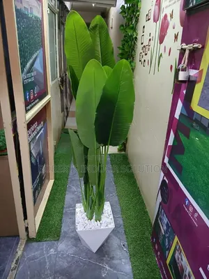 Artificial Indoor , Outdoor Banana Plant