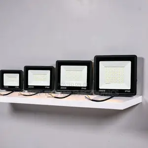 Energy-Efficient 200W,100W,50W,30W AC Electric LED Flood Light