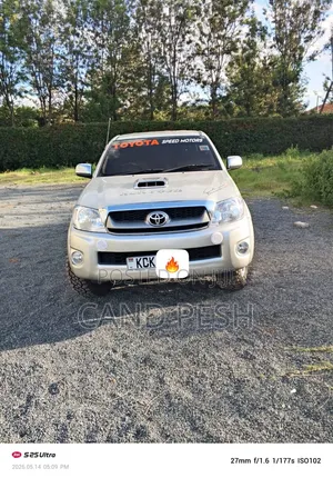 Toyota Hilux 2010 Gold