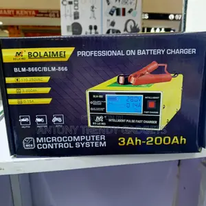Professional Smart Battery Charger for Cars Motorcycles ATVs