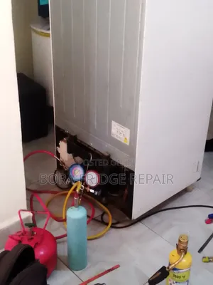 Fridge/Freezer Repair Services