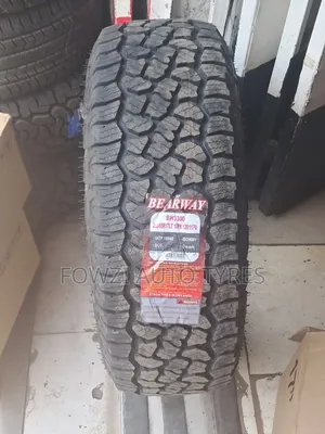 265/65r17 Bearway