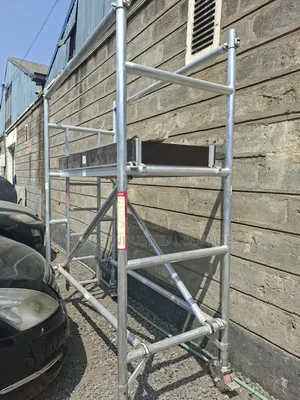 Platform Ladder