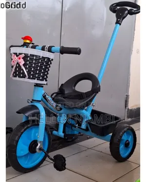 Unisex Kids Tricycle With Push Handle