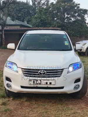 Toyota Vanguard 2010 White
