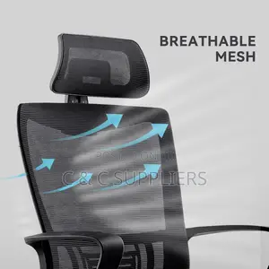 Staff Computer Mesh Chair