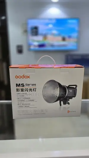 Godox MS300 Studio Flash Head