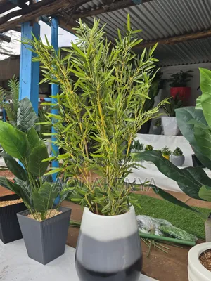 Artificial Bamboo Plant,decor in a Fiber Pot