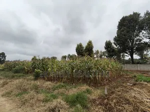 A Secure Gated Community Eighth Acre Plot for Sale in Ondiri, Kikuyu