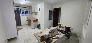 Studio Apartment in NkaiMurunya for rent