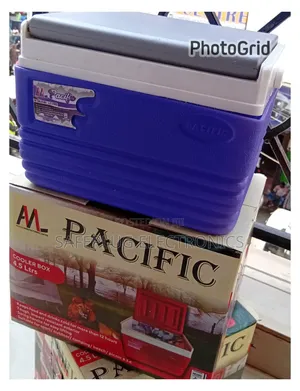 4.5L Mini Cooler Box – Portable Ice Chest