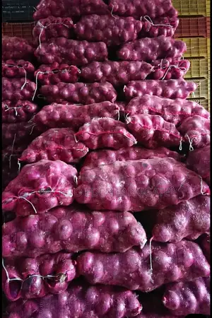 Red Bulb Onions