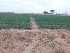 1Acre and Above