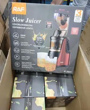 Good Working Raf Slow Juicer