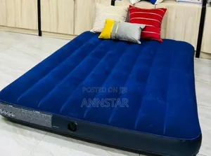 Intex Inflatable Mattress