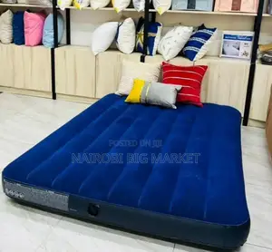 Intex Inflatable Mattress