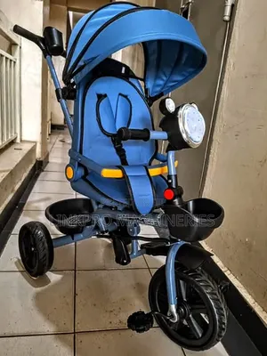 Tricycle Bike With Canopy and Handle