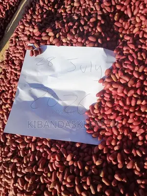 Ground Nuts
