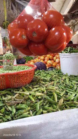 Fresh Tomatoes