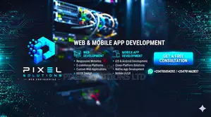 Website Developer