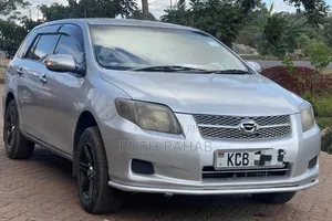 Toyota Corolla Fielder 2008 Silver