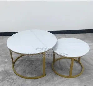 Modern Round Coffee Table Set/Luxe Marble Gold Nesting Table