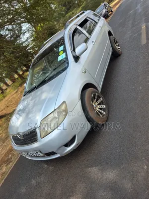 Toyota Corolla Fielder 2007 White