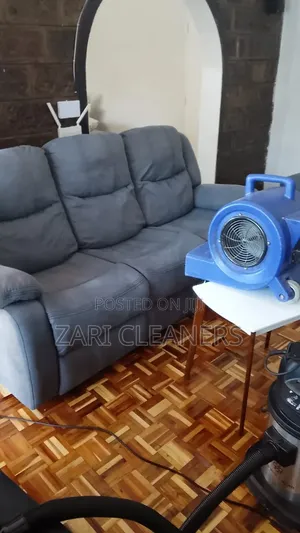 Defining Excellence by Cleaning Your Home Sofasets