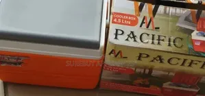 Portable Pacific 4.5L Ice Cooler Box – Food Storage