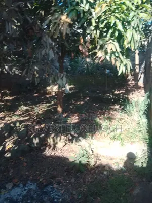 Nairobi Obama Estate Land for Sale