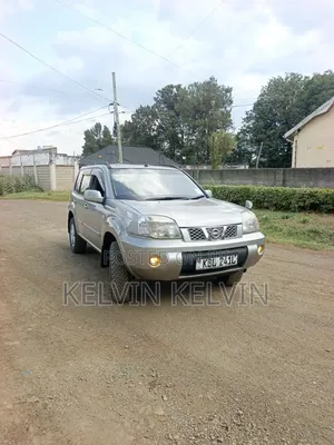 Nissan X-Trail 2005 Gray
