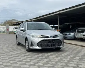Toyota Corolla Fielder 2020 Silver