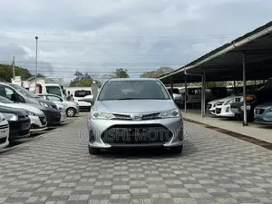 Toyota Corolla Fielder 2020 Silver