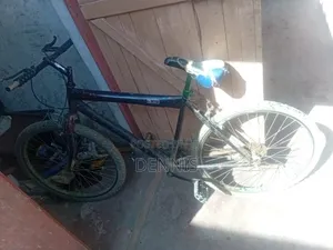 Black and Green Bicycle