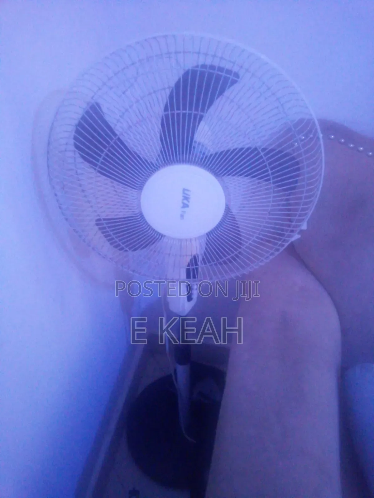 Lika House Fan.