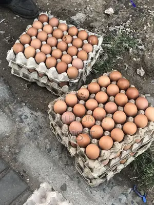 Egg’s Supplier Mombasa