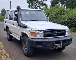 Toyota Land Cruiser 2010 Pearl