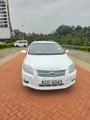 Toyota Corolla Fielder 2008 White