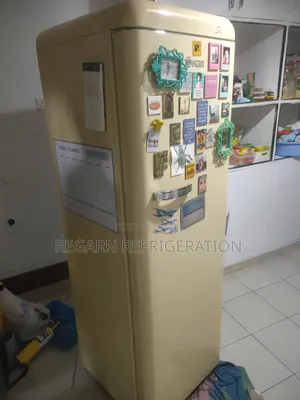 Fridge Repair