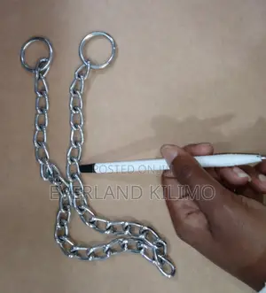 Choke Chain Dog Collar for Small Dogs