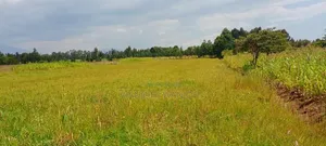 3 Acre Prime Piece of Land