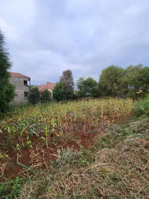 1⁄8 Acre Plots Ngong-Lemiso Rd(Silicon Valley)